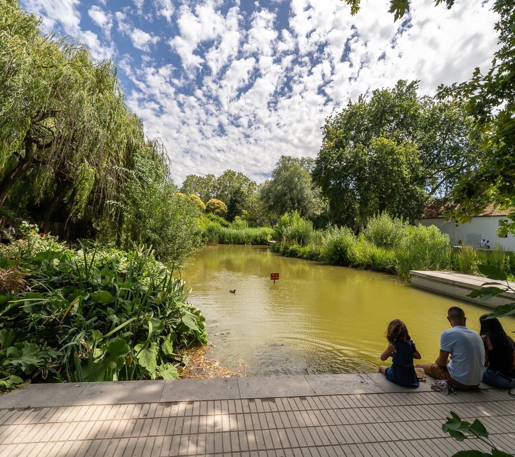 Breathe in the Calm of Bercy Park 1
